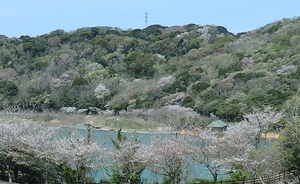 春の初立池